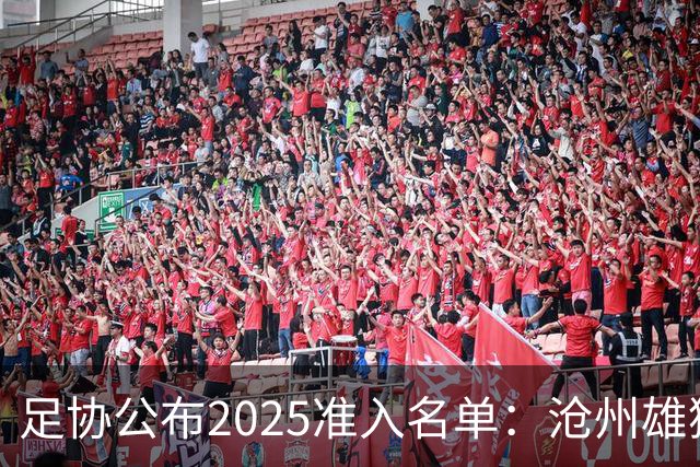 足协公布2025准入名单：沧州雄狮、广州队无缘